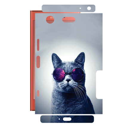 Защитная пленка StatusSKIN для Sony Xperia XZ1 Compact
