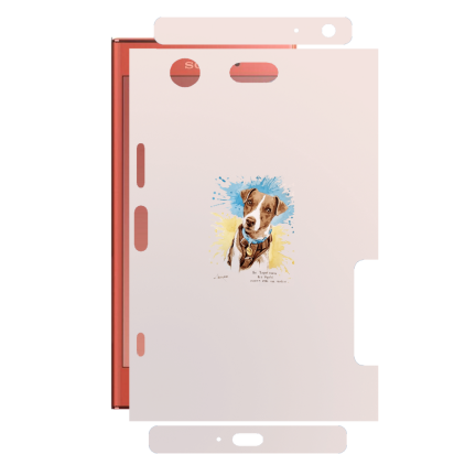 Защитная пленка StatusSKIN для Sony Xperia XZ1 Compact