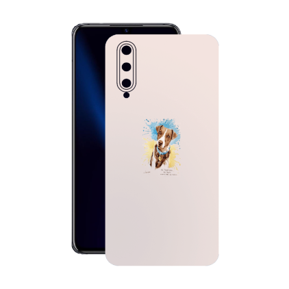 Защитная пленка StatusSKIN для Vivo iQOO Pro