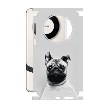 Защитная пленка StatusSKIN для Huawei Mate 60 Pro Plus