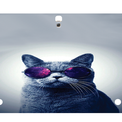 Захисна плівка StatusSKIN для Samsung Galaxy Tab 10.5 (T805)