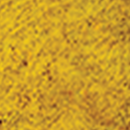 Защитная пленка StatusSKIN для Samsung Galaxy M17 5G (M176)