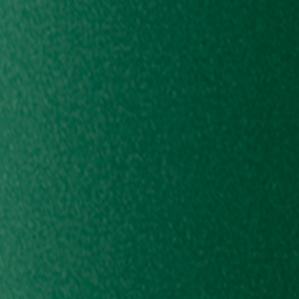 Защитная пленка StatusSKIN для Samsung Galaxy M17 5G (M176)