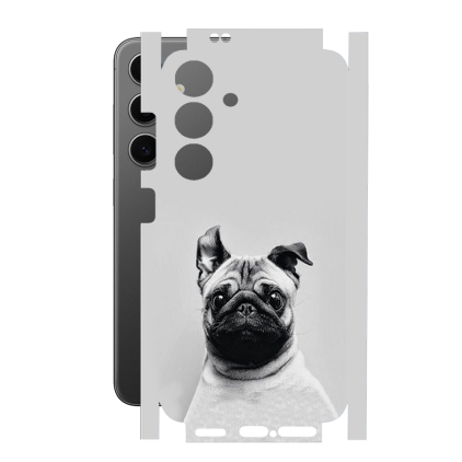 Защитная пленка StatusSKIN для Samsung Galaxy S24 (SM-S921)