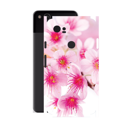 Захисна плівка StatusSKIN для Google Pixel 2 XL