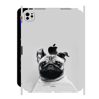 Захисна плівка StatusSKIN для Apple iPad Pro 11 (2024)