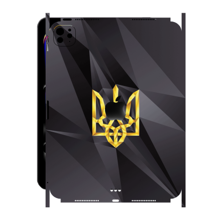 Захисна плівка StatusSKIN для Apple iPad Pro 11 (2024)