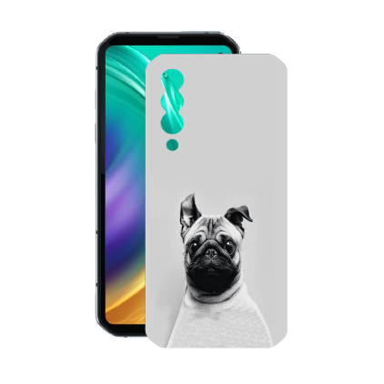 Защитная пленка StatusSKIN для Blackview BL 6000 Pro 2020