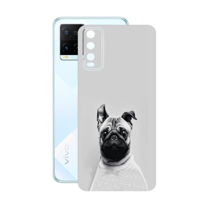 Захисна плівка StatusSKIN для Vivo Y21t