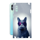 Захисна плівка StatusSKIN для Samsung Galaxy M40 (M405)