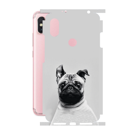 Защитная пленка StatusSKIN для Xiaomi Redmi S2  (Redmi Y2)