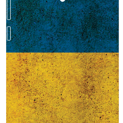 Защитная пленка StatusSKIN для Asus ZenFone 6 (T00G)