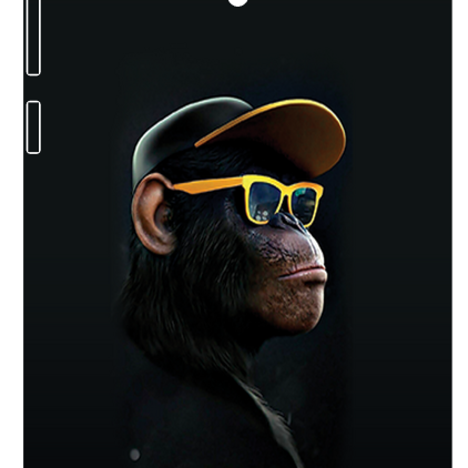 Защитная пленка StatusSKIN для Asus ZenFone 6 (T00G)