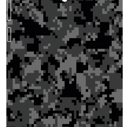 Защитная пленка StatusSKIN для Asus ZenFone 6 (T00G)