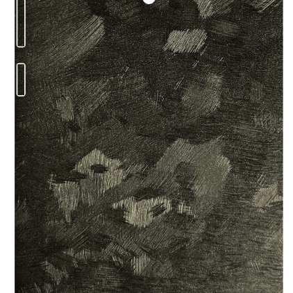 Защитная пленка StatusSKIN для Asus ZenFone 6 (T00G)