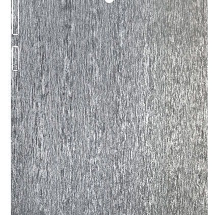 Защитная пленка StatusSKIN для Asus ZenFone 6 (T00G)