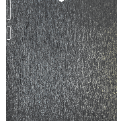 Защитная пленка StatusSKIN для Asus ZenFone 6 (T00G)