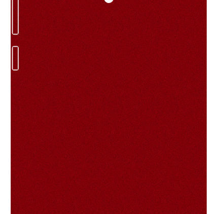 Защитная пленка StatusSKIN для Asus ZenFone 6 (T00G)