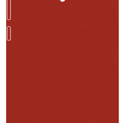 Защитная пленка StatusSKIN для Asus ZenFone 6 (T00G)