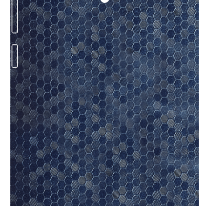 Защитная пленка StatusSKIN для Asus ZenFone 6 (T00G)