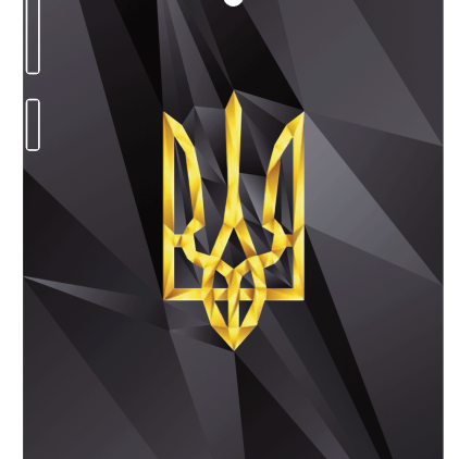 Защитная пленка StatusSKIN для Asus ZenFone 6 (T00G)