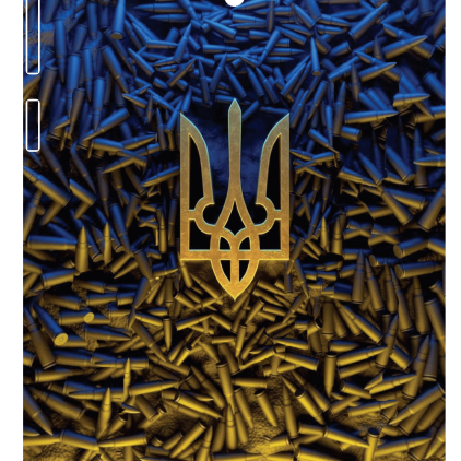 Защитная пленка StatusSKIN для Asus ZenFone 6 (T00G)