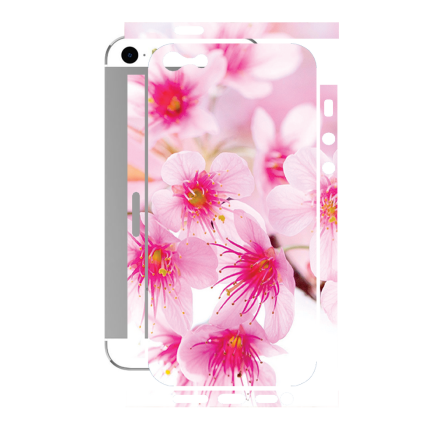Захисна плівка StatusSKIN для Apple iPhone 5s