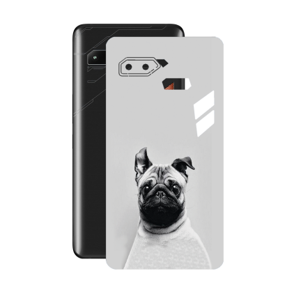 Захисна плівка StatusSKIN для Asus ROG Phone ZS600KL