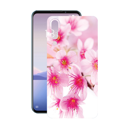 Защитная пленка StatusSKIN для Meizu 16xs