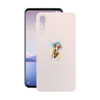 Защитная пленка StatusSKIN для Meizu 16xs