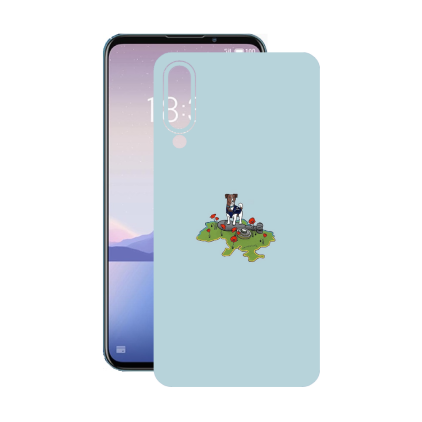 Защитная пленка StatusSKIN для Meizu 16xs