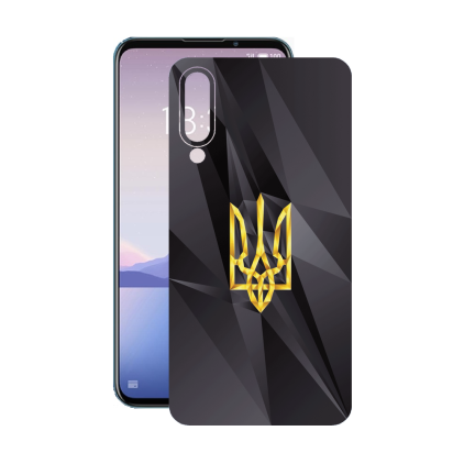 Защитная пленка StatusSKIN для Meizu 16xs