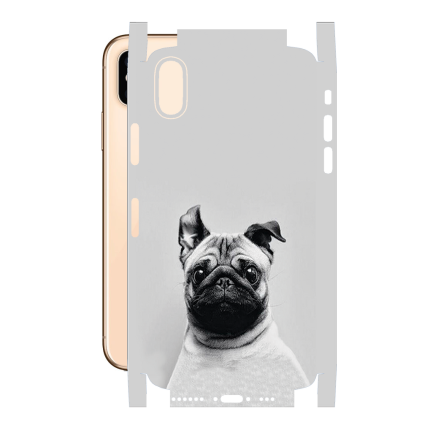 Захисна плівка StatusSKIN для Apple iPhone XS