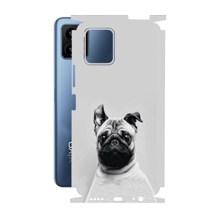 Защитная пленка StatusSKIN для Vivo Y15s