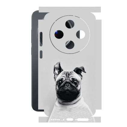 Защитная пленка StatusSKIN для Vivo X200 Pro mini