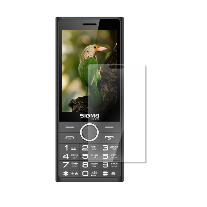 Захисна плівка StatusSKIN для Sigma X-style 353