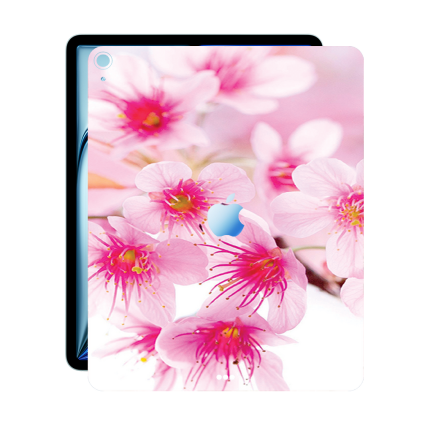 Захисна плівка StatusSKIN для Apple iPad Air 13 (2024)