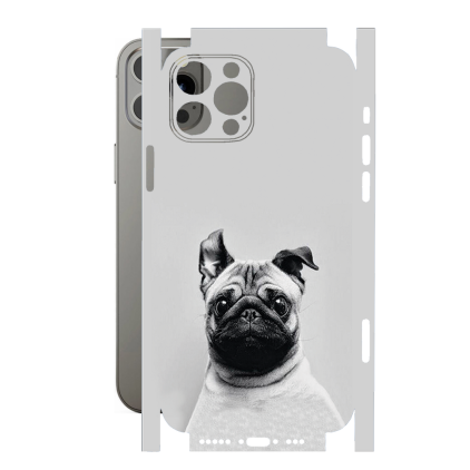 Защитная пленка StatusSKIN для Apple iPhone 12 Pro
