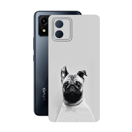 Захисна плівка StatusSKIN для Vivo Y01