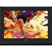 Защитная пленка StatusSKIN для xTest XP-Pen Artist Pro 16