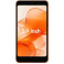 Защитная пленка StatusSKIN для Ulefone Note 22