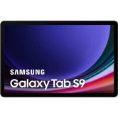 Защитная пленка StatusSKIN для Samsung Galaxy Tab S9