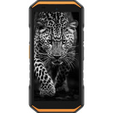 Защитная пленка StatusSKIN для Ulefone Armor X32