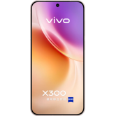 Захисна плівка StatusSKIN для Vivo X300