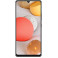 Захисна плівка StatusSKIN для Samsung Galaxy A42 5G (A426)
