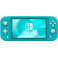 Защитная пленка StatusSKIN для Nintendo Switch Lite