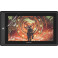 Защитная пленка StatusSKIN для GAOMON PD156 Pro